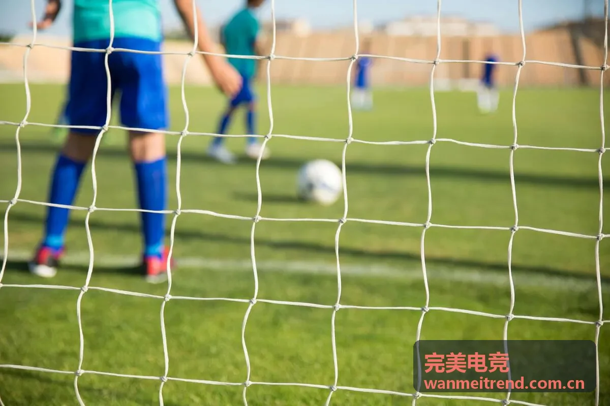完美电竞麦克风评测图片